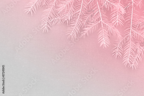 Obraz na płótnie New Christmas background with real pine tree branches w salonie