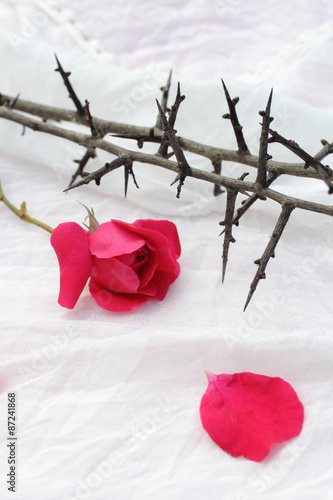Obraz na płótnie Thorns against white fabric and red rose petals, Christian background w salonie