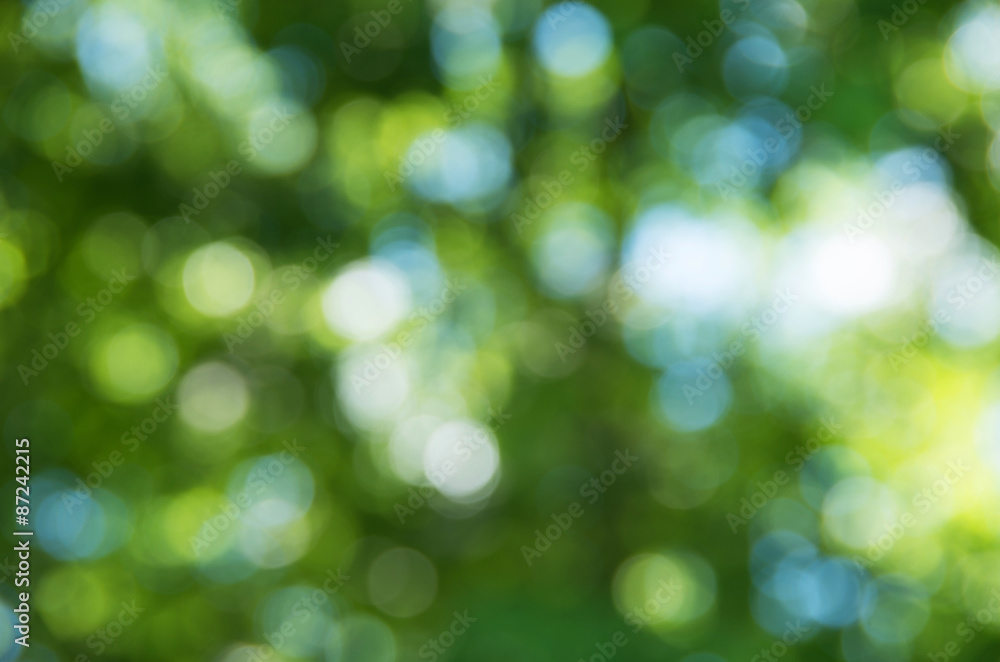 Natural blurred background. Natural blurred background.