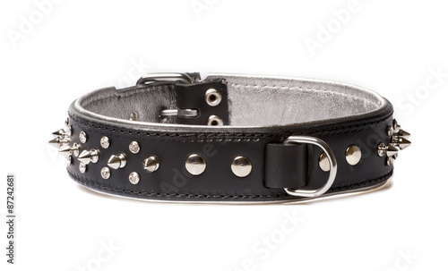 Billede på lærred black leather collar for dog