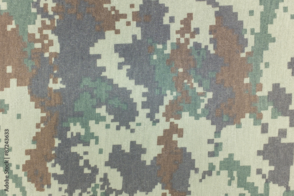 Camouflage pattern and background. Camouflage pattern and background.