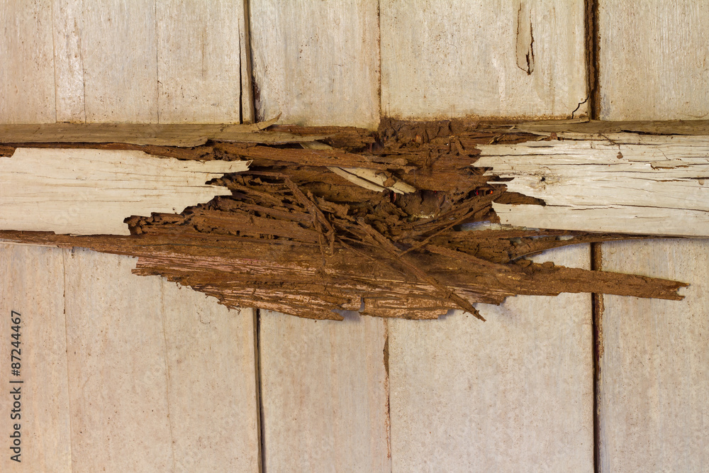 Fototapeta premium Decaying wood beams