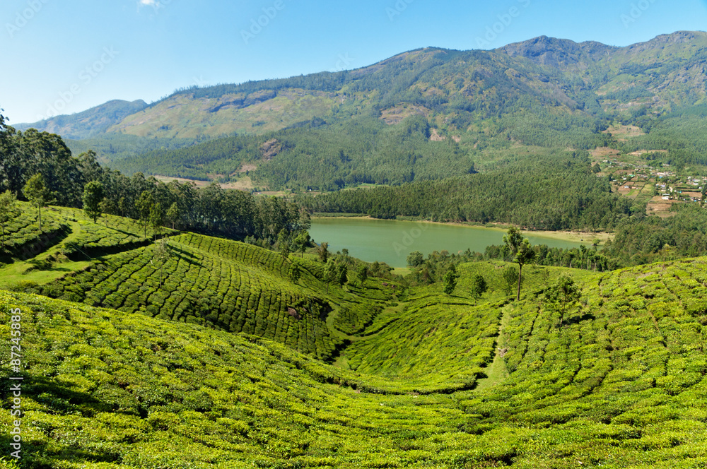 View of tea plantation valley and Madupetty Dam in Munnar
