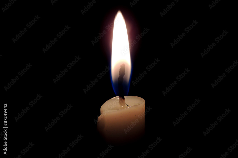 Vela Vela