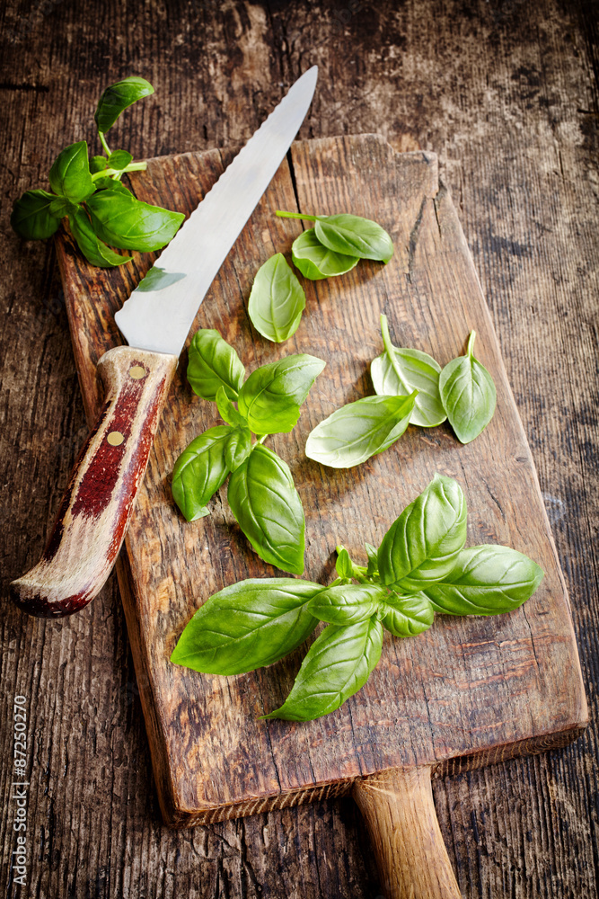 fresh basil leaves fresh basil leaves