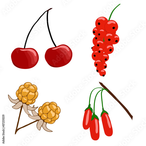 berry collection
