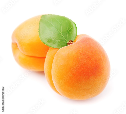 Sweet apricots with leaves fruits close up