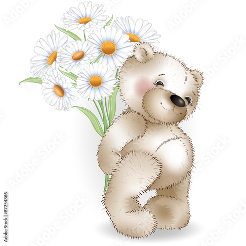 Teddy bear and a bouquet of chamomiles on white background