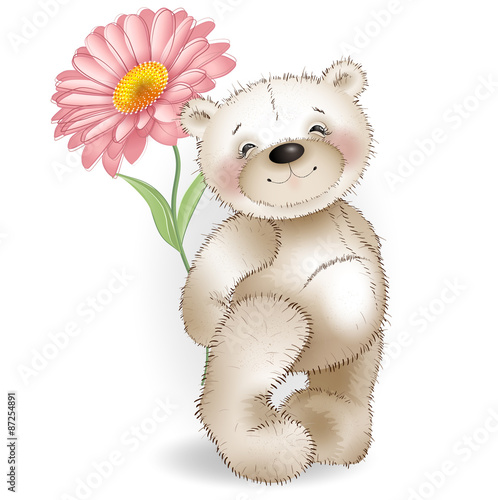 Teddy bear and red chamomile on white background