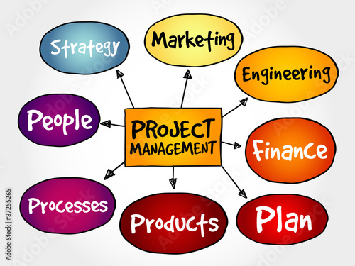 Project management mind map, business concept © dizain