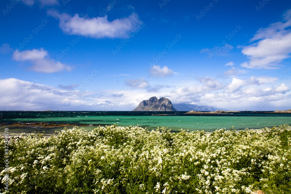 Fototapeta premium Scenic beach on Lofoten islands