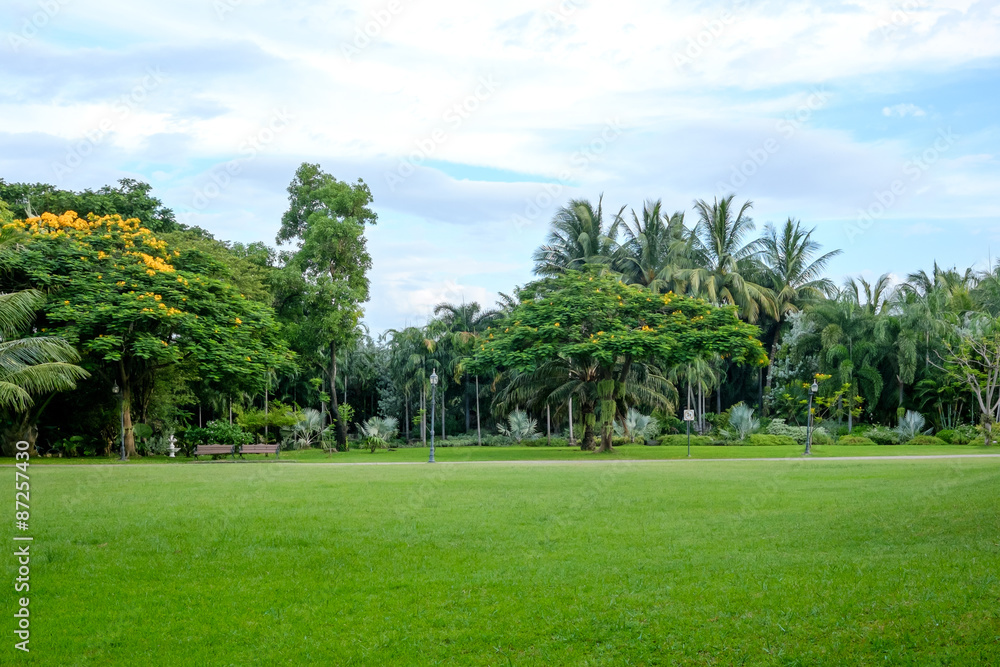 City park at Queen Sirikit Park Bangkok, Thailand City park at Queen Sirikit Park Bangkok, Thailand