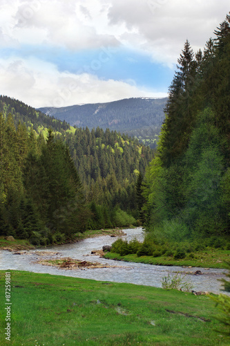 landscape of a river among Carpathians mountains with fir-tree