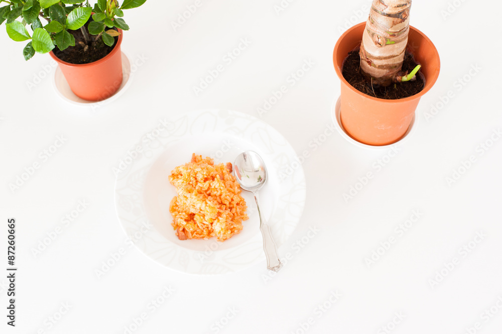 チキンライス チキンライス