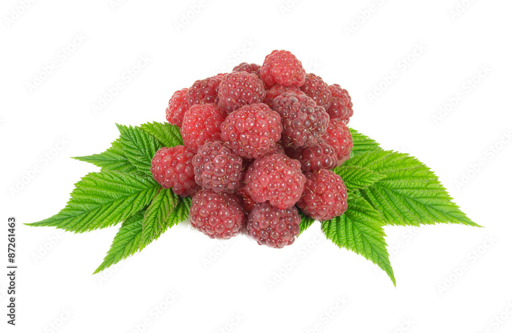 raspberries raspberries