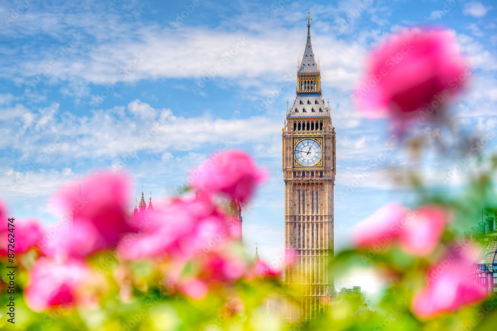 Obraz premium Big Ben ,, Londyn Wielka Brytania. Widok z publicznego ogrodu z pięknymi kwiatami róż.