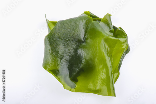 Wet green marine algae pile close up macro isolated on white bac