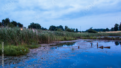 Fototapeta Naklejka Na Ścianę i Meble -  Brzeg stawu w urocze scenerii zachodu słońca