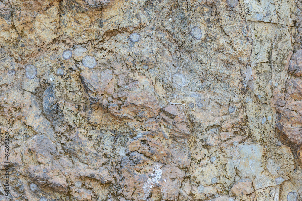 Obraz premium Stone cliff texture.