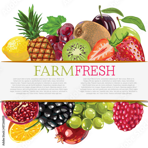 Fruits Banner