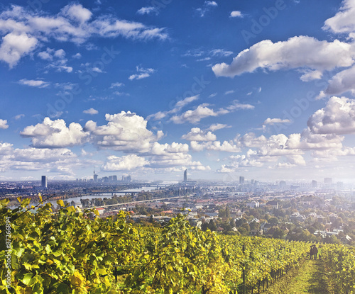 View of the Danube River and the skyline of Vienna with Vineyards in front