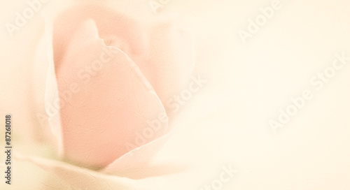 sweet classic color rose in soft color and blur style on mulberry paper texture 