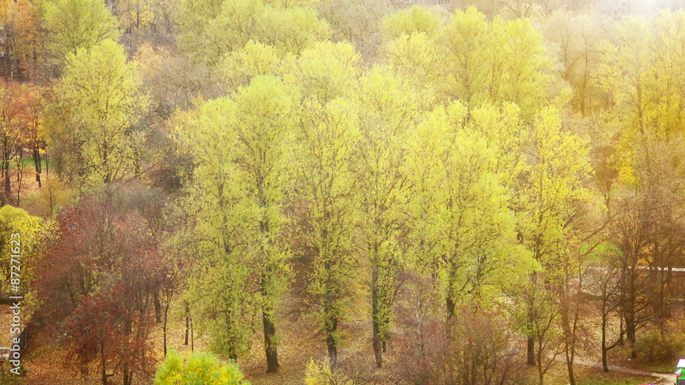 One month in 5 seconds. Autumn in Saint-Petersburg. One month in 5 seconds. Autumn in Saint-Petersburg.
