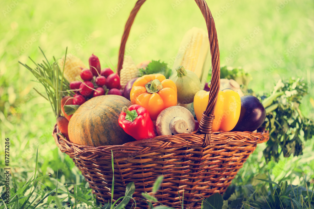 Basket With Fresh Organic Vegetables Basket With Fresh Organic Vegetables