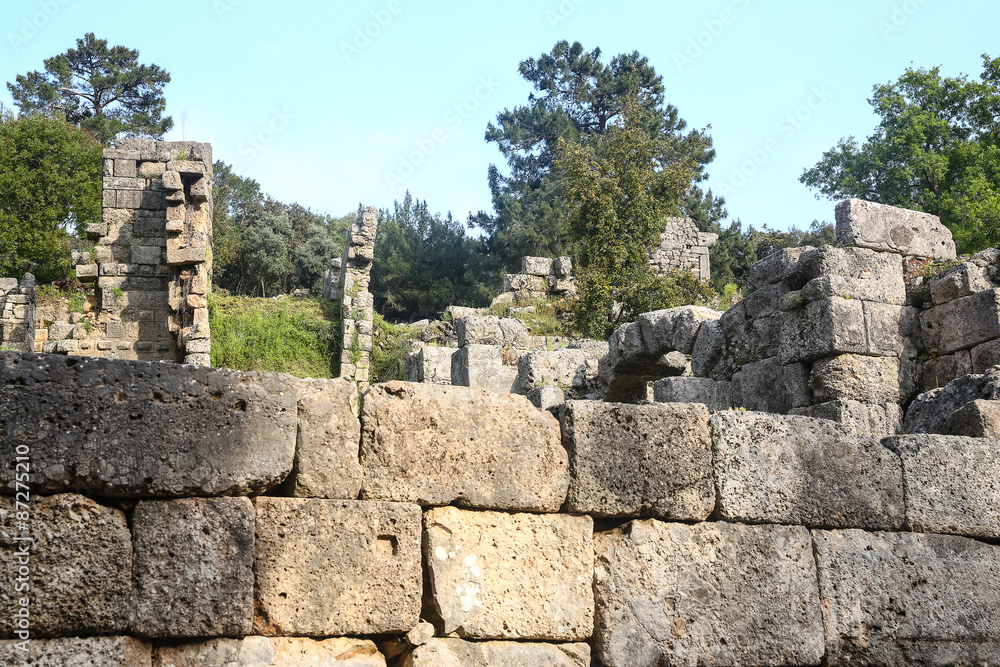 Phaselis ruins in Turkey Phaselis ruins in Turkey
