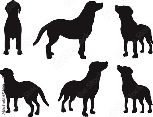 dog silhouette