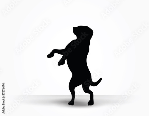 dog silhouette