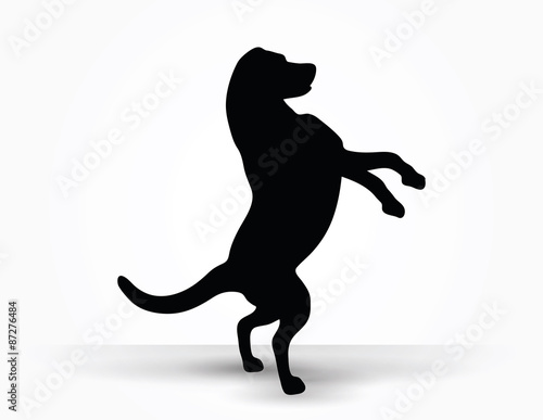 dog silhouette