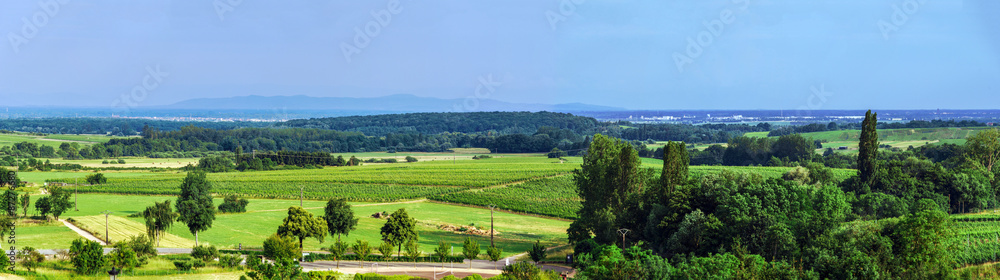 Beautiful panoramic view of alsacien fields