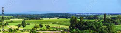 Beautiful panoramic view of alsacien fields