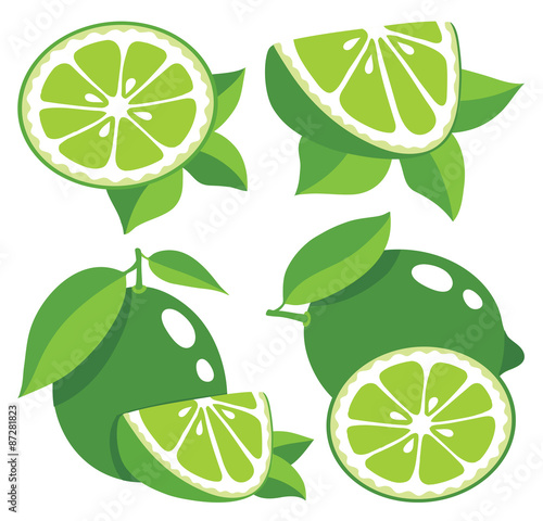 Limes vector illustration