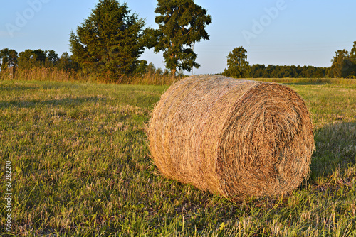 Summer field with rolls of haystacks