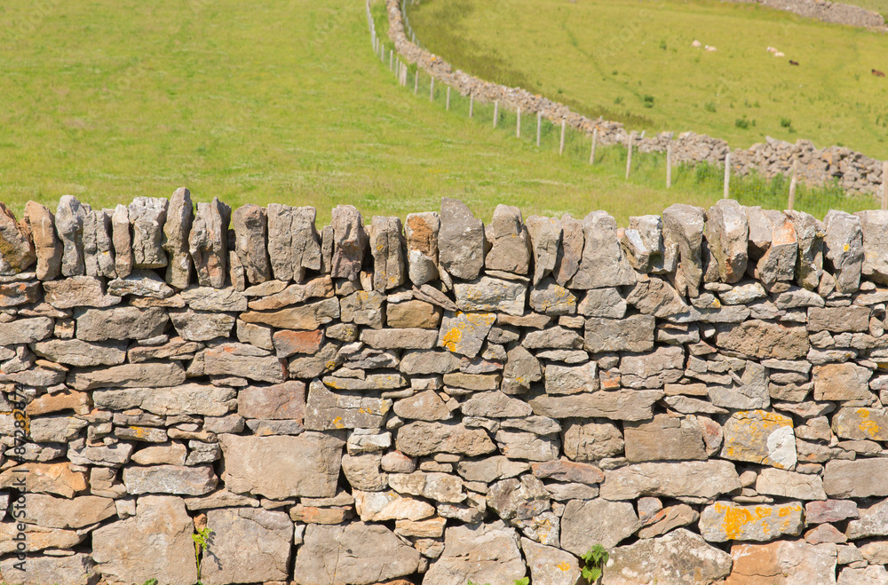 Dry stone wall The Gower Peninsula South Wales UK