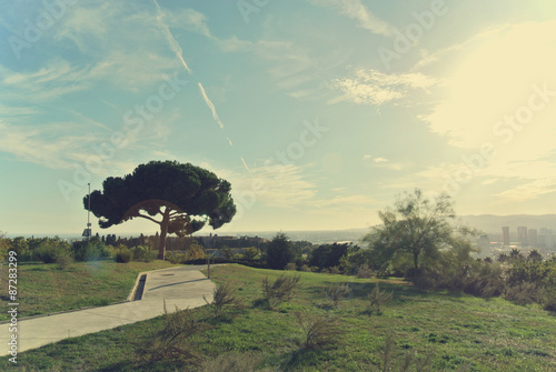 Photography Botanical garden of Barcelona, situated on Montjuic hill, on a sunny day in early autumn