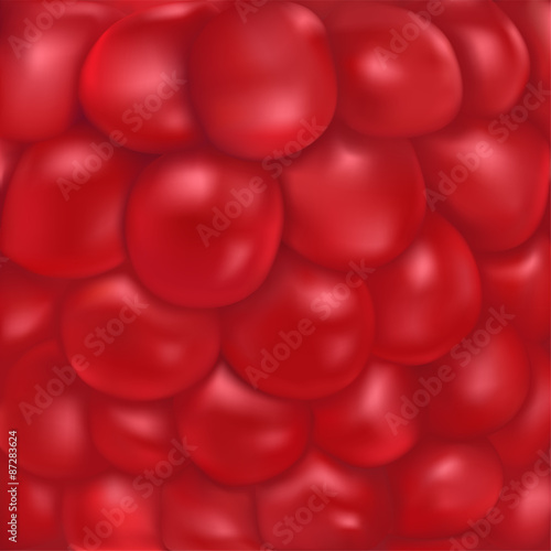 Raspberry vector texture