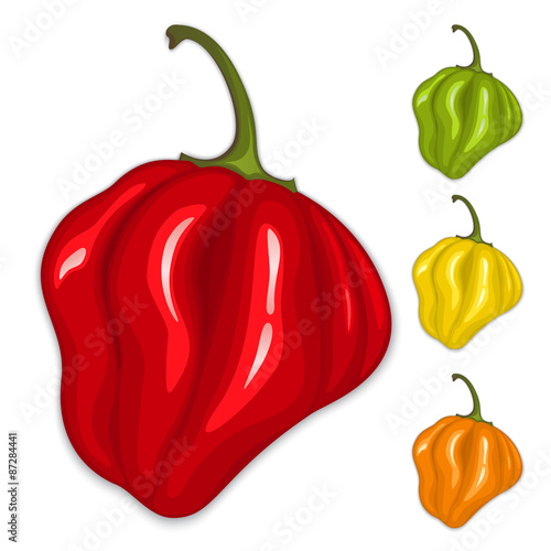 Chili habanero peppers. Isolated vector photo