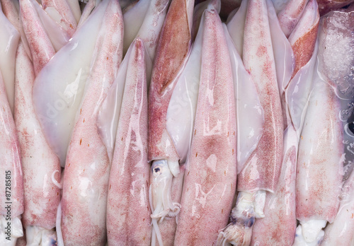 Very fresh squid in Thailand Market.
