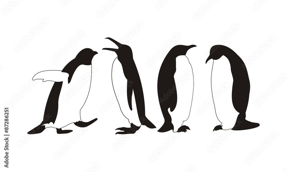 Naklejka premium Penguins Silhouette