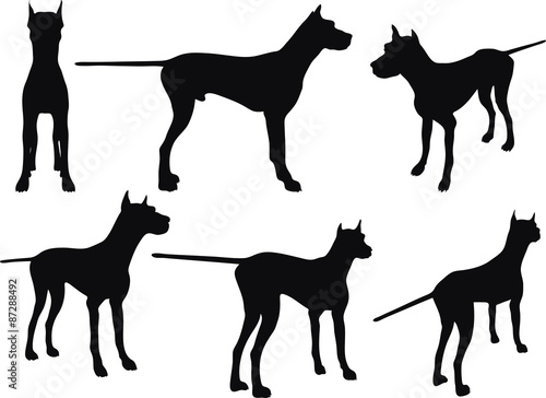 dog silhouette in still pose