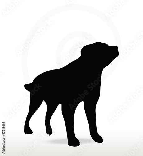 dog silhouette