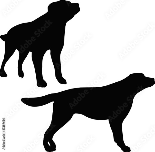 dog silhouette