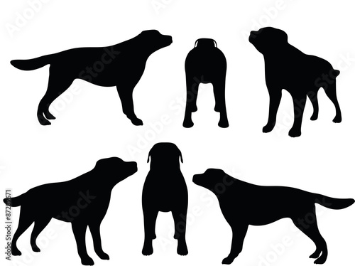 dog silhouette