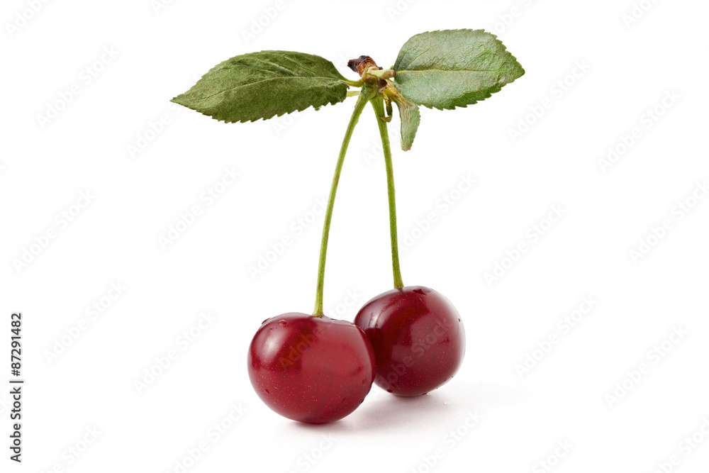 a pair of cherries with a leaf isolated a pair of cherries with a leaf isolated