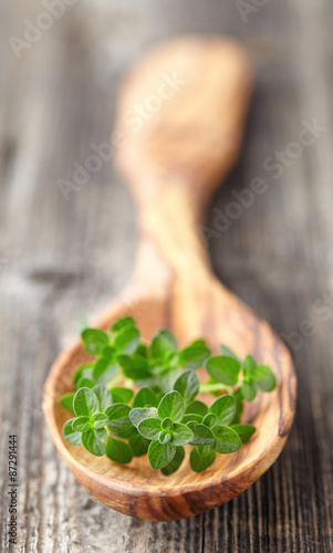 Fresh thyme in a wooden spoon