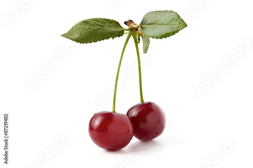 a pair of cherries with a leaf isolated