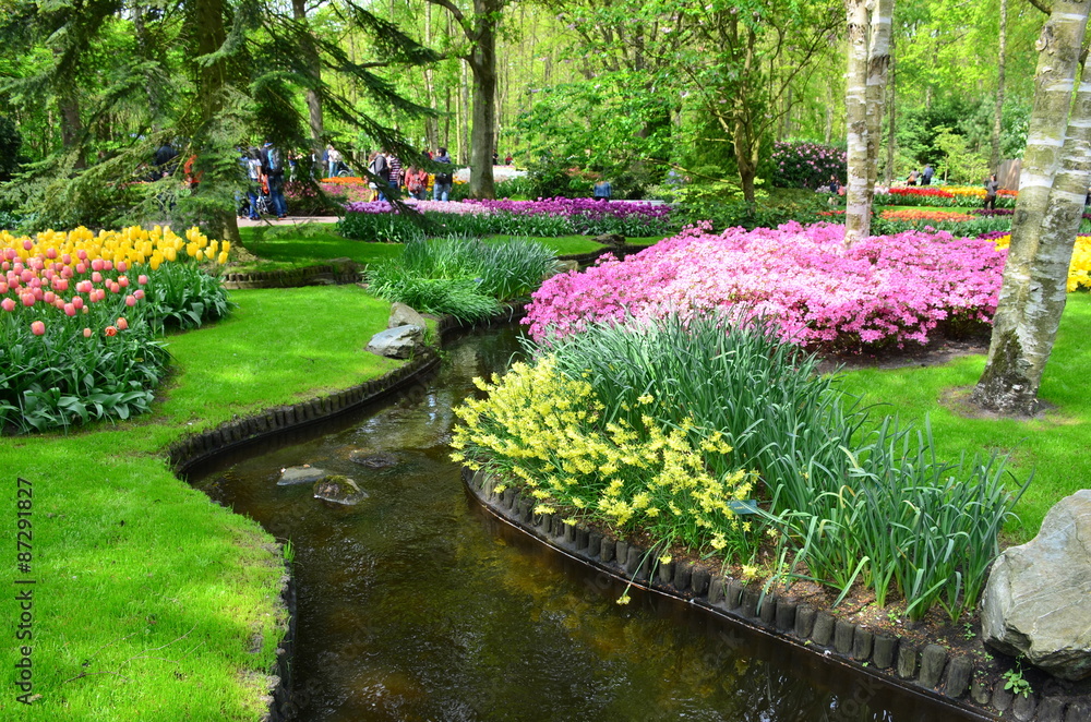 Colorful flowers and blossom in dutch spring garden Keukenhof which is the world's largest flower garden. 